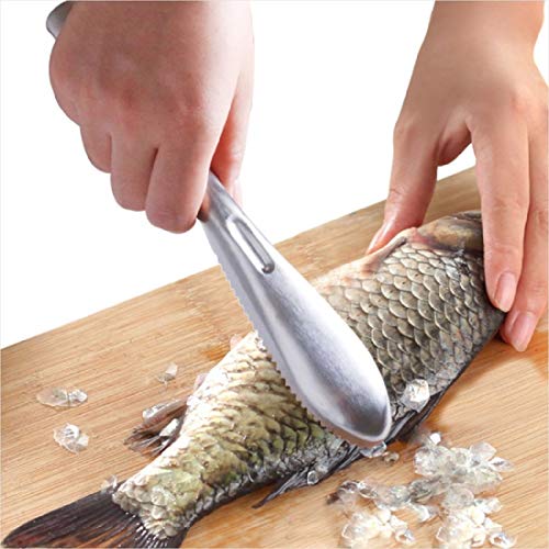 Fish Scaler Brush Fish Scaler Remover with Stainless Steel Sawtooth Easily Remove Fish Scales-Cleaning Brush Scraper Kitchen Tool