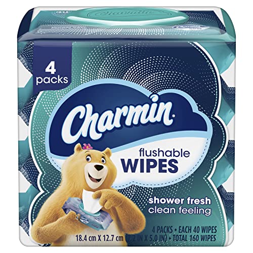 Charmin Flushable Wipes, , 40 Wipes (Pack of 4), 160 Total Wipes