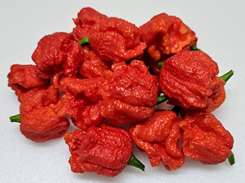 Dragons Breath 5+ Dried Peppers