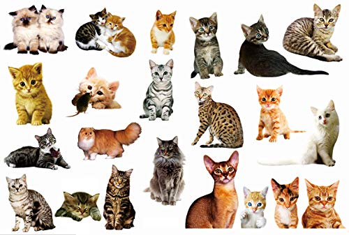 22PCS Removable 3D Cartoon Animal Cats PVC Wall Stickers Easy to Peel and Stick Cute Cat Wallpaper Murals for Kids Wall Decals Living Room Baby Rooms Bedroom Toilet House Wall DIY Decoration