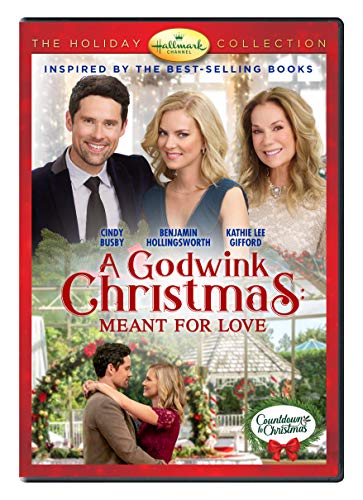 A Godwink Christmas: Meant For Love