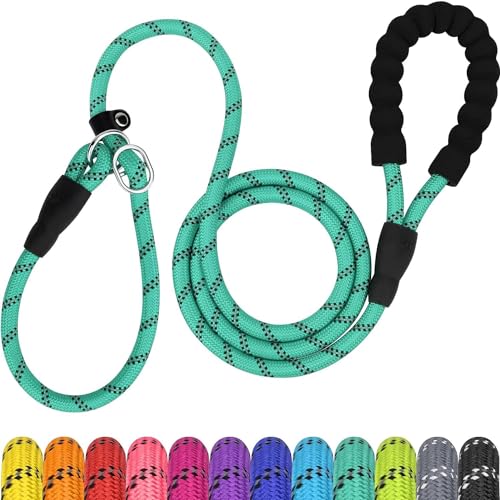 TagME Slip Leads for Dogs, 6 FT Heavy Duty Dog Leash with Padded Handle, Strong Rope No Pull Pet Training Leash for Large Dogs,Turquoise