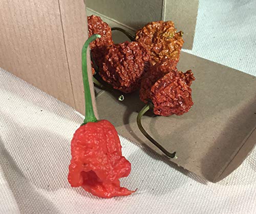 Dragon's Breath Ultra Hot Pepper Dried Whole Pods 5 Pack Dragon Dragons