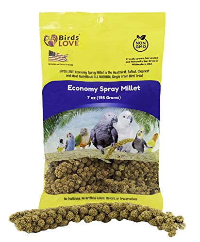 Birds LOVE Economy & Thin Special Spray Millet GMO-Free (No Stems Only Edible Tops) for Birds Cockatiel Lovebird Parakeet Finch Canary All Parrots Healthy Treat - 7oz