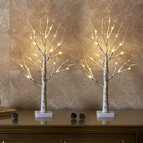 EAMBRITE Lighted Birch Tree for Home Decor, Table Decorations Indoor, 2Pack 24 LED Battery Operated/USB Tabletop Mini Artificial Trees with Lights for Christmas Centerpiece Mantel (2FT/Warm White)