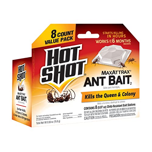 Hot Shot Ant Bait, Kills the Queen and Colony, Works for 6 months, Pack of 1, 8 Count