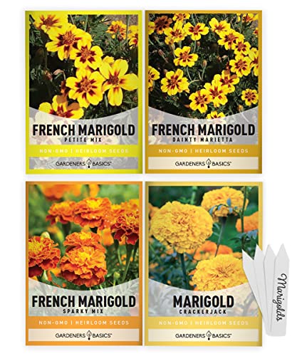 Gardeners Basics, Marigold Seeds for Planting Outdoors (4 Variety Pack) French Marigold Petite Mix, Dainty Marietta, Sparky, and African Marigold Seeds Crackerjack for Pollinators Wildflower Seed