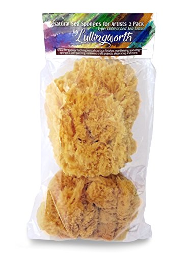 Natural Sea Sponges for Artists - Unbleached 5'-5.5' 2pc Value Pack: Great for Painting Decorating Texturing Sponging Marbling Effects Faux Finishes Crafts & More by Lullingworth