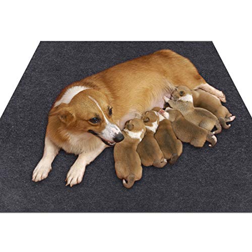 Sszhen Whelping Box Liner Mat,Washable and Reusable Puppy Pad,Premium Absorbent Urine pet Mat,Under The Dog Crate Mat,Protect Your Floor, Furniture or Any Other Area from Liquid Leakage (36'×23.8')