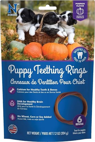 N-Bone Puppy Teething Ring Pumpkin Flavor 7.2 Oz/(6 Count)