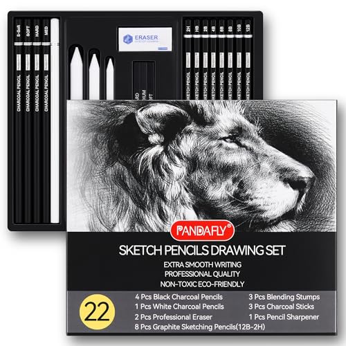 PANDAFLY Drawing Sketching Pencil Set, 22 Piece Pro Art Pencil Kit - Graphite Pencils (12B-2H), Black and White Charcoal Pencils, Charcoal Sticks, Stumps, Eraser, Sharpeners