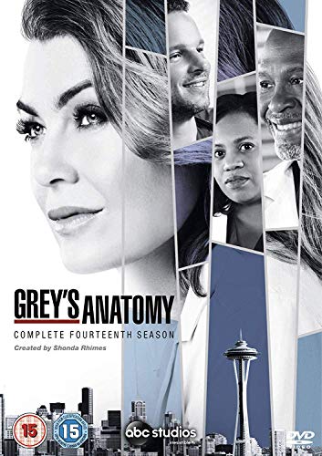 Grey's Anatomy Season 14 [DVD] [2018]