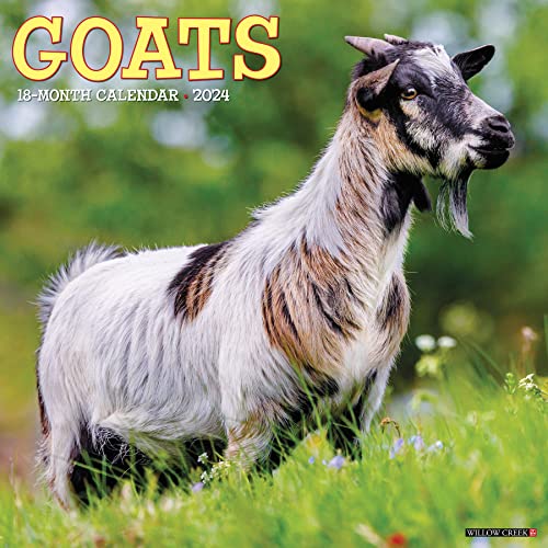 Willow Creek Press Goats Monthly 2024 Wall Calendar (12' x 12')