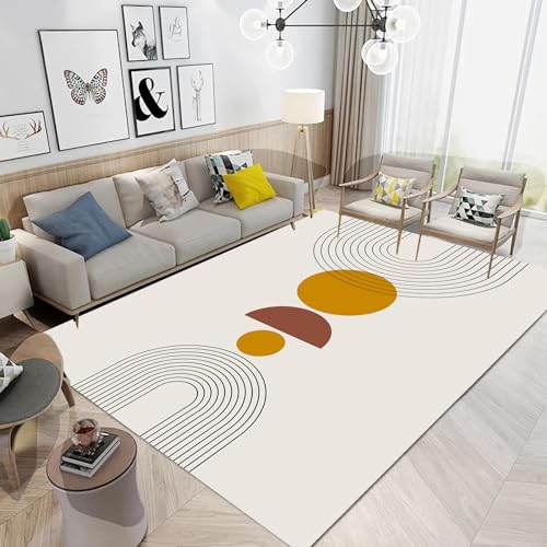 AANVII Boho Mid Century Modern Area Rug Living Room Bedroom Dining Home Office Soft Rugs Carpets