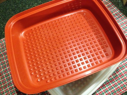 Tupperware Vintage Large Season and Serve Marinating Container, Paprika Color (#129-45)