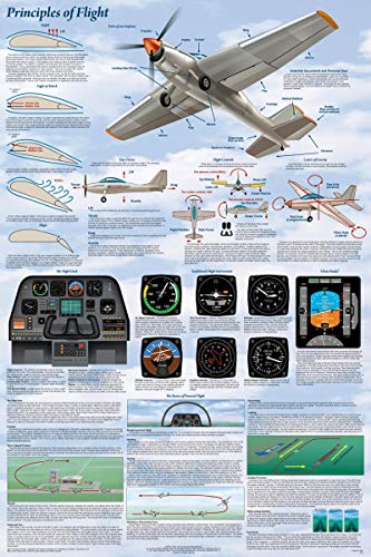 (24 x 36) Principles of Flight Poster