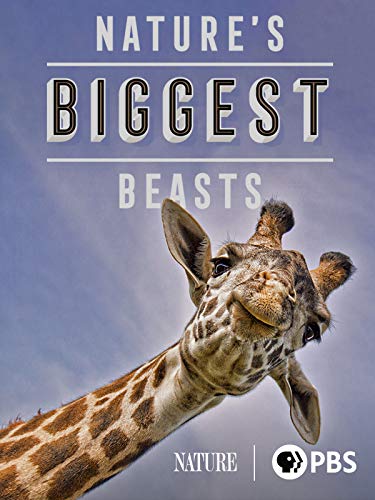 Nature's Biggest Beasts