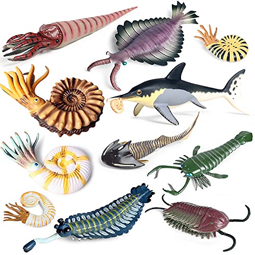 RCOMG 11PCS Prehistoric Sea Creatures Toys, Ancient Cambrian Ocean Animal Figurines Plastic Educational Marine Animal Figures for Cake Topper, School Project, Learning Toy