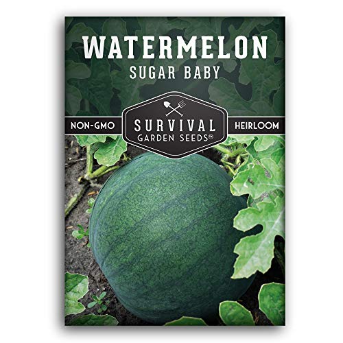Survival Garden Seeds - Sugar Baby Watermelon Seed for Planting - Packet with Instructions to Plant and Grow Little Round Watermelons in Your Home Vegetable Garden - Non-GMO Heirloom Variety
