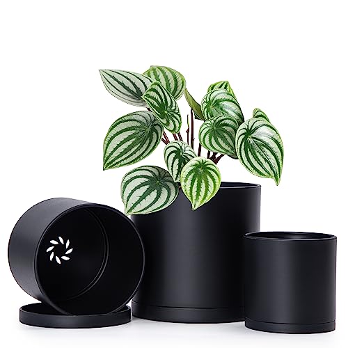 D'vine Dev 4 Inch 5 Inch 6 Inch, Set of 3 Plastic Planter Pots for Plants with Drainage Hole and Seamless Saucers, Black Color, Small, 74-E-S-2