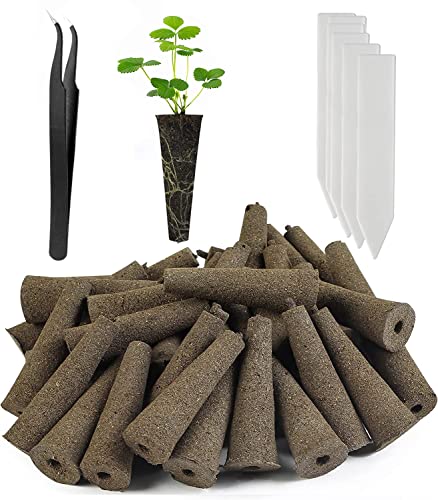 Feyut 30 Pack Grow Sponges, Replacement Root Growth Sponges Seed Pods Compatible with AeroGarden, Seedling Starter Sponges Kit for Hydroponic Indoor Garden System