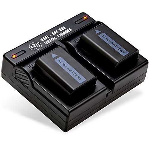 BM Premium 2 Batteries and Dual Bay Charger for Sony ZV-E10, A7 II, A6100, A6400, DSC-RX10 IV, DSC-RX10 II, RX10 III, Alpha 7, Alpha 7R, a7, a7R, A7s, A7s II, a3000 a5000 a5100 a6000 a6300 a6500