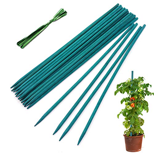 Garden Wood Plant Stakes Green Bamboo Sticks,HAINANSTRY Sturdy Floral Plant Support Stakes Wooden,Wooden Sign Posting Garden Sticks(25 Pack 15 Inches)