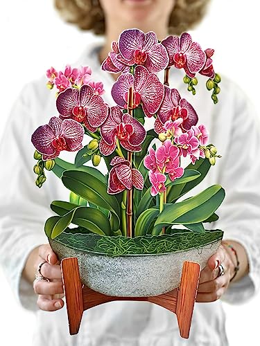 Freshcut Paper Pop Up Cards, 3D Popup Greeting Cards, 12 Inch Life Sized Forever Plant, Birthday Gift Cards with Note Card and Envelope, Faux Orchid Oasis, Best Friend Gift, Paper House Plants