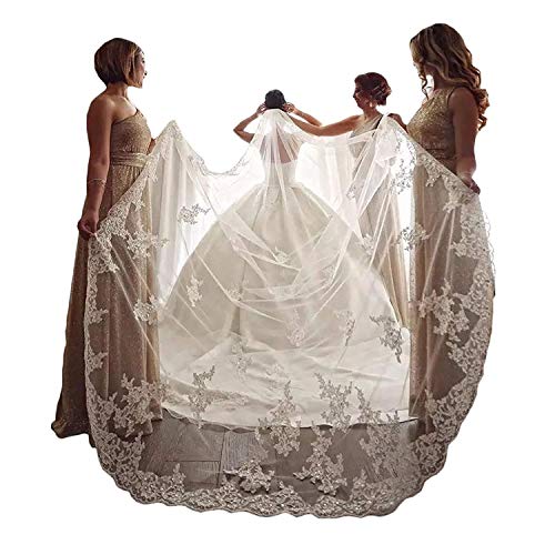 EllieHouse Womens Embroidery Lace Ivory Wedding Bridal Veil with Comb S60IV