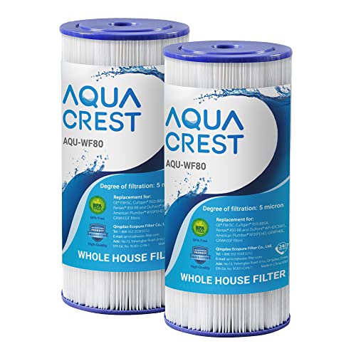AQUACREST FXHSC Whole House Water Filter, Replacement for GE FXHSC, GXWH40L, GXWH35F, American Plumber W50PEHD, W10-PR, Culligan R50-BBSA, 5 Micron, 10' x 4.5', High Flow Sediment Filters, Pack of 2