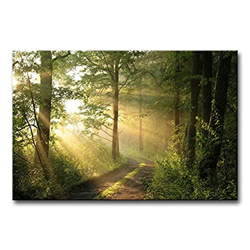 Forest Wall Art Nature Modern Canvas Painting The Picture for Home Decoration Foggy Morning Spring Landscape Print On Canvas Giclee Artwork for Wall Decor