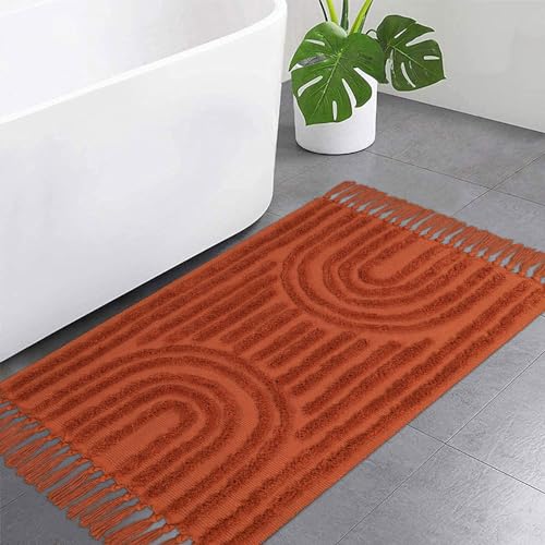 LEEVNA Washable Bathroom Rugs 2'x3', Hand-Woven Kitchen Rug with Tessal, Terracotta Bedroom Throw Rugs, Boho Tufted Rainbow Rugs, Farmhouse Indoor Door Mat for Entryway/Porch/Back Door