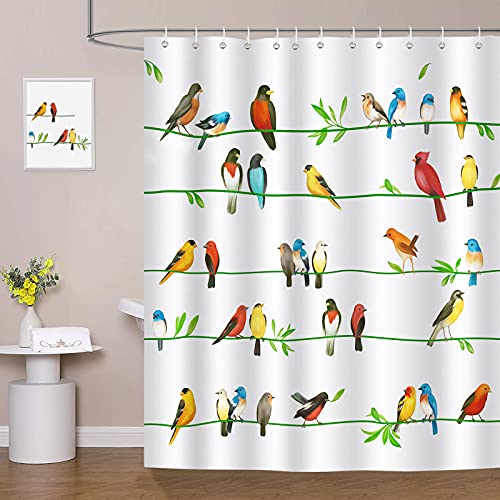 Bonhause Colorful Bird Shower Curtain Birds on Tree Branch Decorative Bath Curtain 72 x 72 Inch Polyester Fabric Waterproof Bathroom Curtain with 12 Hooks