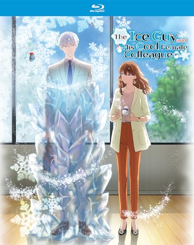 The Ice Guy and His Cool Female Colleague - The Complete Season [Blu-ray]