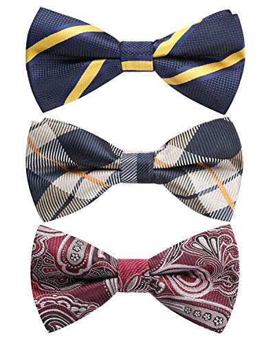 HISDERN 3/6 Pack Bow Ties for Men Paisley Plaid Dot Pre-Tie Bow Tie and Pocket Square Bowties Handkerchief Set Adjustable