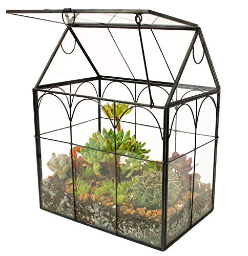 ELEGANTLIFE Glass Geometric Plant Terrarium,Succulent & Air Planter for Home Garden Office Decoration (Black House)