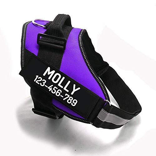 PawPawify Custom No Pull Dog Harness with Name and Phone Number, Heavy Duty Personalized Pet Vest to Prevent Tugging, Pulling, or Choking, Training and Walking M (20-40 LBS)
