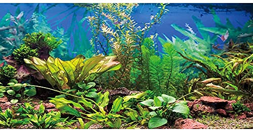 AWERT 72x18 inches Aquarium Background Aquatic Plant River Bed & Lake Fish Tank Background Vinyl