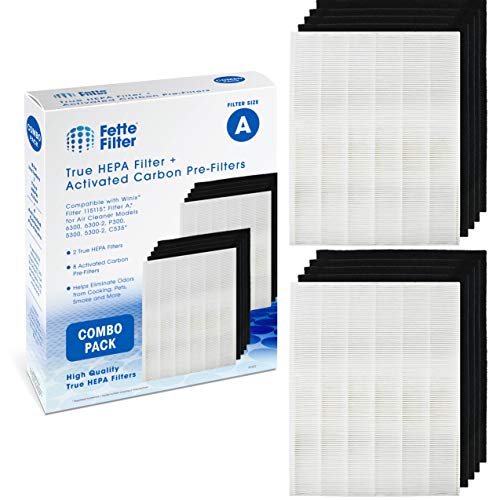 Fette Filter - 115115 Premium True HEPA H13 Filter Compatible with Winix Filter A 115115 Size 21 Plasma Wave Air Purifier AM90 P300 5300 5500 5300-2 6300-2 6300 C909 9800 C535 - Pack of 2 + 8