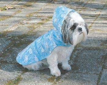 ITS RAINING DOGS RAINCOAT BARKING IN THE RAIN XX-SMALL