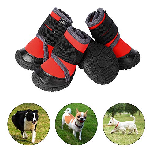 List of Top 10 Best dog boots that stay on in Detail