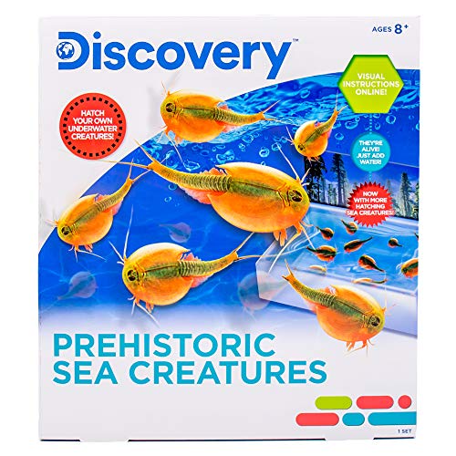 Discovery Prehistoric Sea Creatures, at-Home STEM Kits for Kids, Sea Creature Aquarium, Grow Your Own Sea Creatures, Hatching Animals, Kids Science Activities