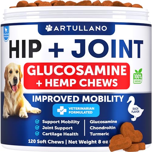 Hemp Hip and Joint Supplement for Dogs - Glucosamine for Dogs - Dog Joint Pain Relief Treats - Chondroitin - Hemp Oil - Mobility Support - Canine Joint Health - Health & Wellness Supplements for Dogs