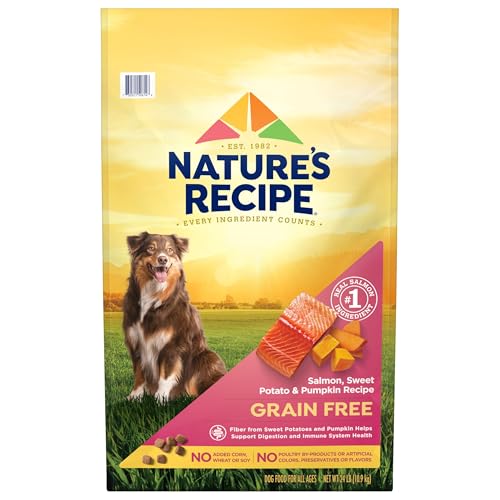 Nature’s Recipe Grain Free Salmon, Sweet Potato & Pumpkin Recipe Dry Dog Food, 24 lb. Bag