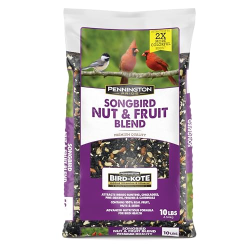 Pennington Songbird Nut & Fruit Blend Wild Bird Seed, 10 lb