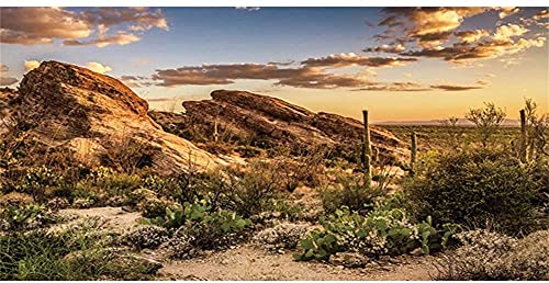 AWERT Reptile Habitat Background Blue Sky Oasis Cactus Sun and Desert Terrarium Background 72x18 inches Durable Polyester Background
