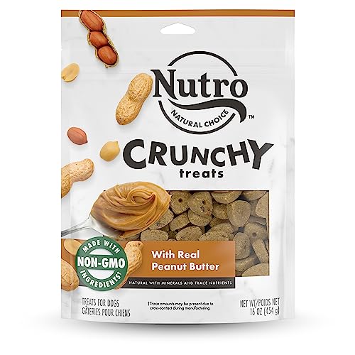 NUTRO Crunchy Dog Treats with Real Peanut Butter, 16 oz. Bag