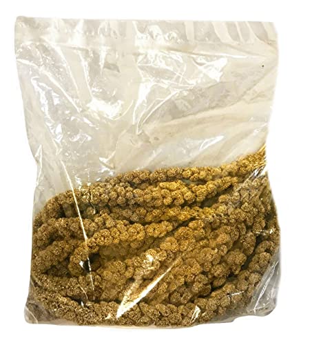 Nemeth Farms Worlds Freshest Sun-Dried Spray Millet - Non-GMO (No Stems Only Edible Tops) - Healthy Bird Treat and Supplement for All Pet Birds Parakeets Cockatiels Finches - 1lb