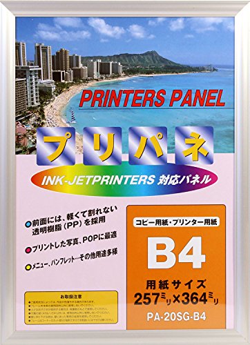 Iwata PA-212-SI-B4 Picture Frame, Pripane S, JIS Size, B4, Aluminum Frame, Silver