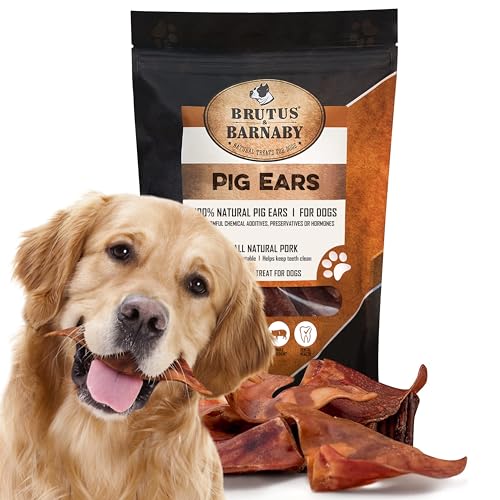 100% Natural Whole Pig Ear Dog Treat - 12 Pack Our Healthy Pig Ears Are Easy To Digest, Chemical & Hormone Free Thick Cut For Aggressive Chewers, Great Small Or Large Dogs